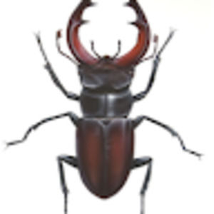 Meet your Posher, Rowan